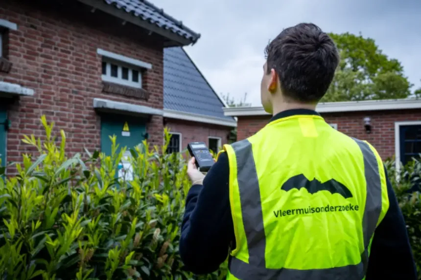 Vleermuisonderzoek